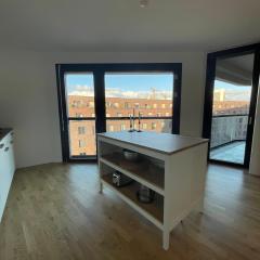 Modern apartment near Basel city and airport