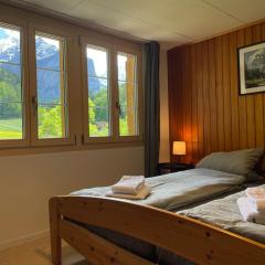 Apartment HasliView