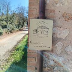 Camere nel bosco sulla Via Francigena