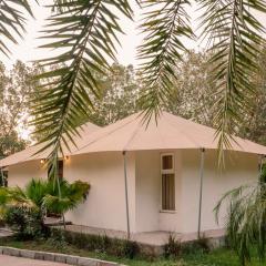 Clarks Safari Ranthambore