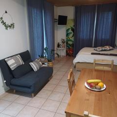 Studio de vacances avec vue sur le lac de Morat
