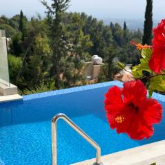 Villa Eirini Kamares Tala Luxury Sea View