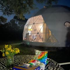 Dot's Spots Dome