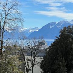 Charming apartment near the Lake Geneva
