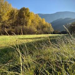 Pat Busch Mountain Reserve