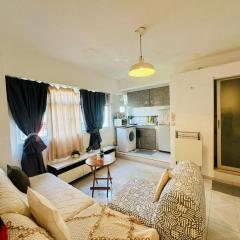 Spacious House Near Soho & PmQ