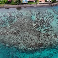 Hava'e Lodge TEAHUPOO