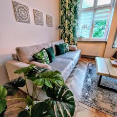 Apartament Mickiewicz - Center