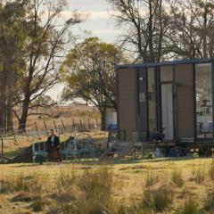 Little Argyle Tiny House by Tiny Away