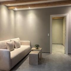Apartment with backyard