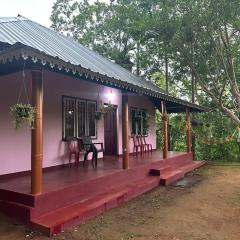 Wild Heaven Cottage
