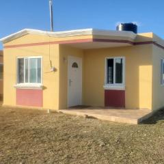 Little yellow house