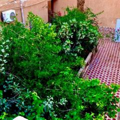 Sunny City Villa with a Garden