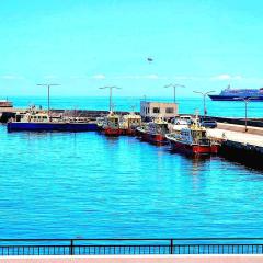 貸別荘 Dolphiｎ AQUA 淡路島