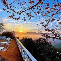 Alishan Tea Garden B&B