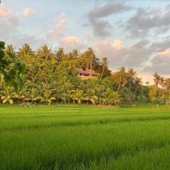 Cliff House Balian
