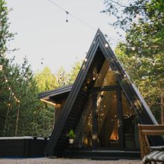 Pinelle Blidinje A-Frame House