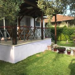 Niki's House