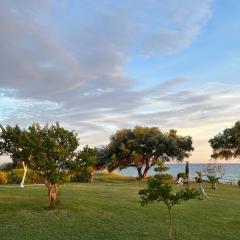 Physis Seaside Living