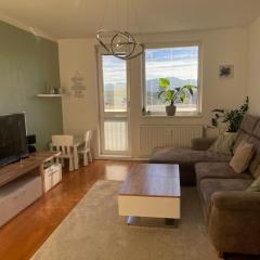 Roxy Sihoť Apartment