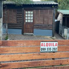 Los leños de Iporá
