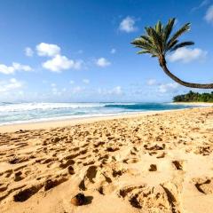 KBM Resorts FREE CAR Beach Villas at Ko Olina BVK-B-308 Beachfront Villa