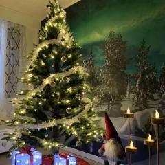 Aurora Night Stay in Rovaniemi