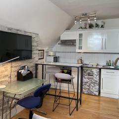 Large room with private kitchen near Kingston University