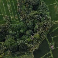 Sacred Beji by Pramana Villas