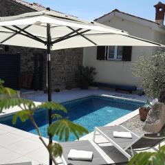 Villa Nostalgia pool & wellness