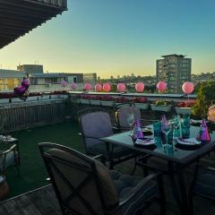 Penthouse studio Lola New Belgrade