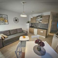 Apartman TIA