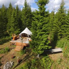 Glamping Tent with amazing view in the forest