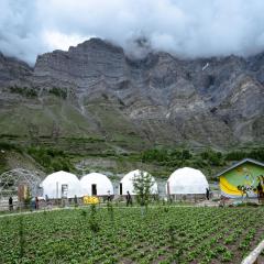 Camp The Sanga Manali