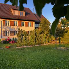 Ruhiges wohnen mit Bergblick
