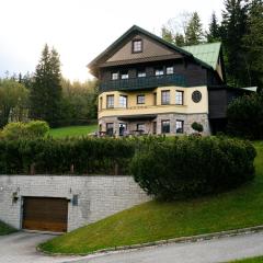 Vila Anička