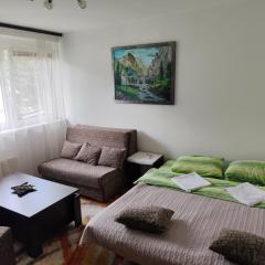 Apartman Sutjeska
