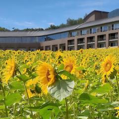 富良野ホテル Furano Hotel
