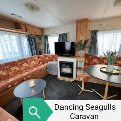 Dancing Seagulls Caravan