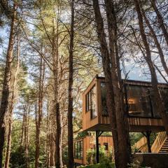 Burrenmore Nest - Luxury Forest Lodges with Hot Tubs & Sauna