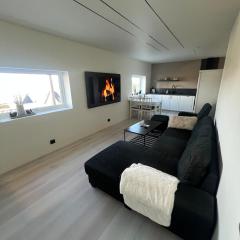 New Modern Apartment in Senja