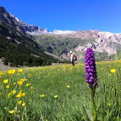 Hostel-Albergue Monte Perdido