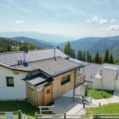 1A Chalet - Haus-Appartment Weitblick - Ski in Ski out