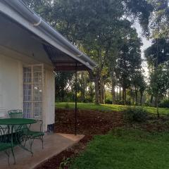 Kakamega Forest Glamping Cabin