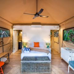 Queen Safari Tent 4