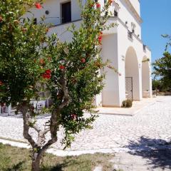Tenuta degli Agrumi