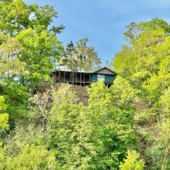 Eagle Rock Cabin Illinois River view
