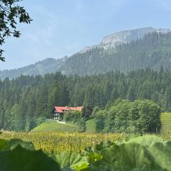 Walmendinger Haus