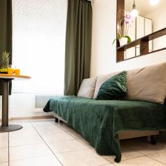 Mega COOL Flat France Suisse