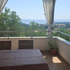 Ribarićevi dvori